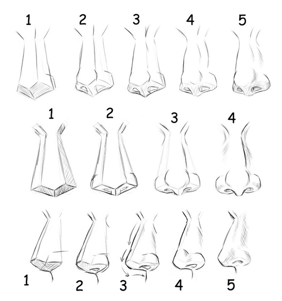 丰富的鼻子参考与多面解析